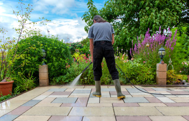 Best Animal Enclosure Cleaning  in Freeport, FL